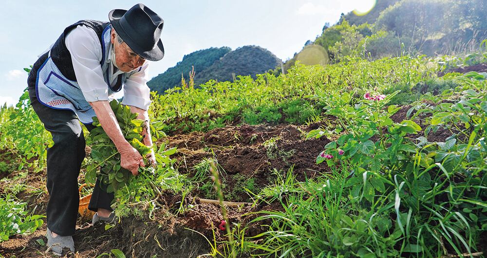 Fue aprobada en el primer semestre de 2023 y es de las pocas que logró sacar adelante el Gobierno.