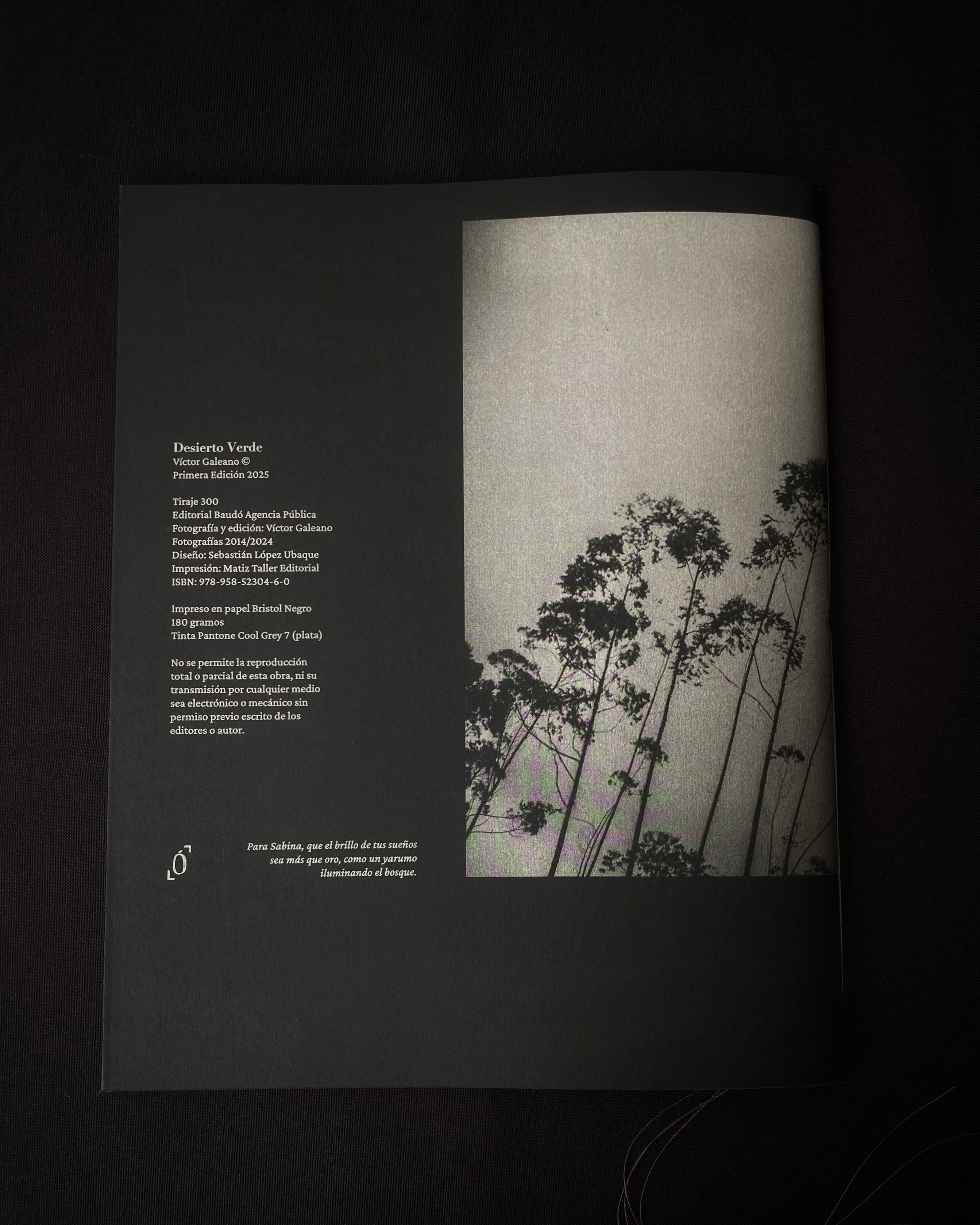 'Desierto Verde', de Víctor Galeano, autoeditado por Baudó AP e impreso en Matiz Taller Editorial.