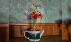 Significado del florecimiento de la amapola.