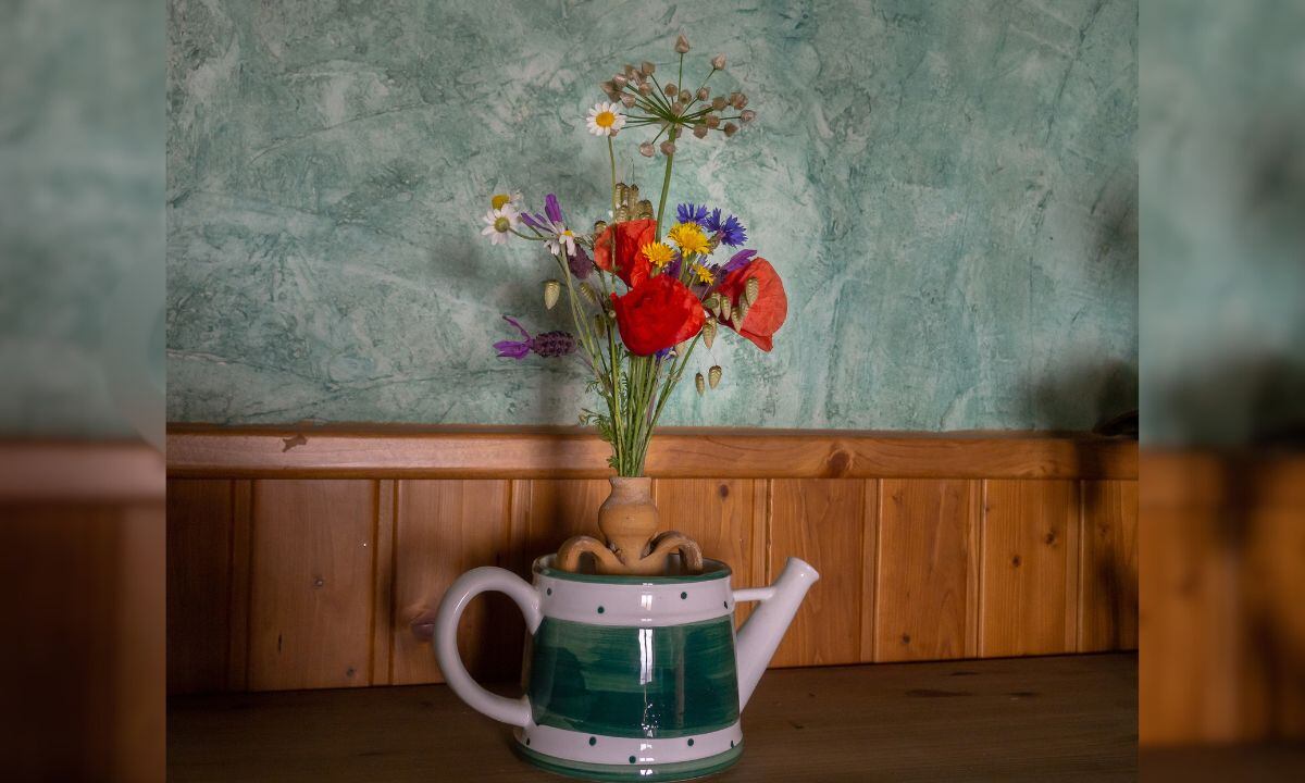 Significado del florecimiento de la amapola.