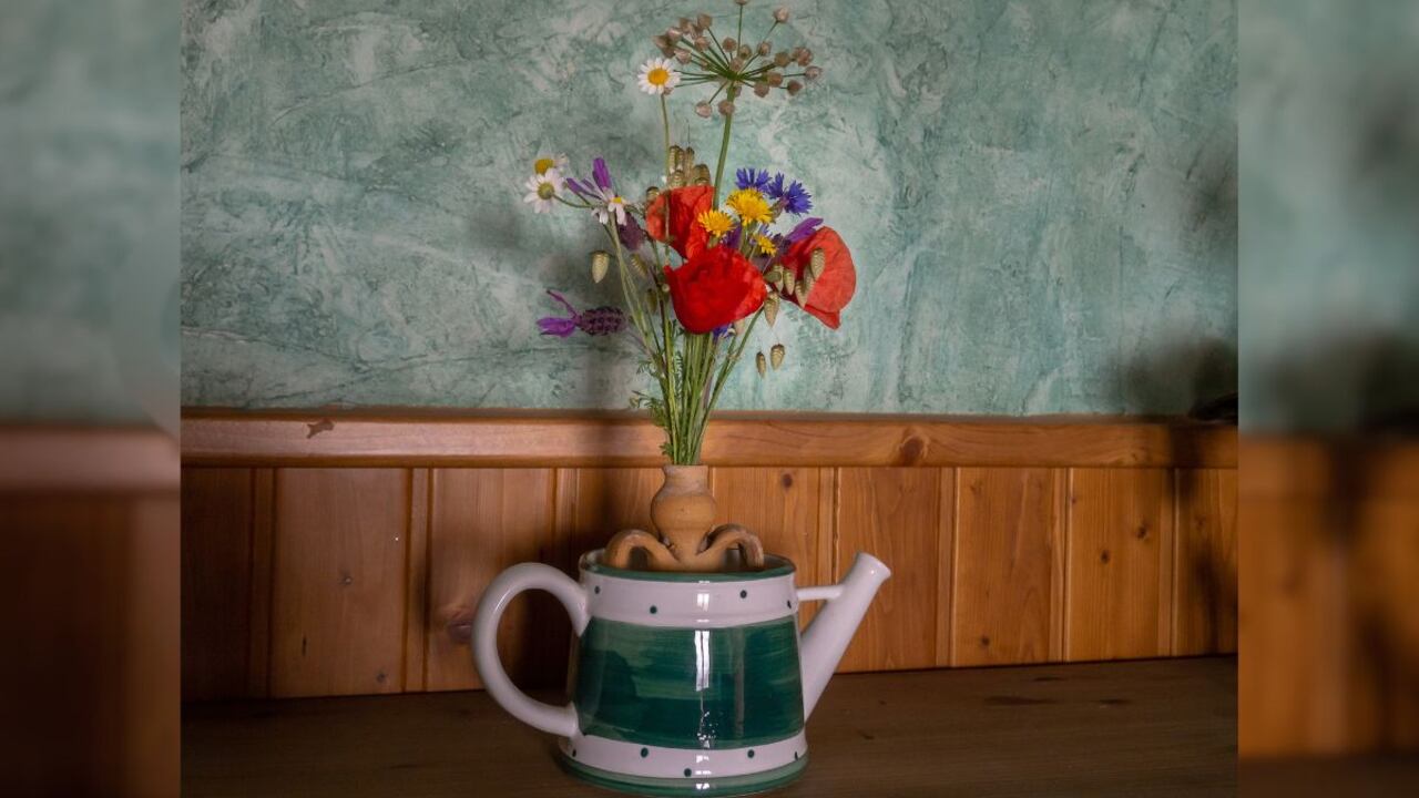 Significado del florecimiento de la amapola.