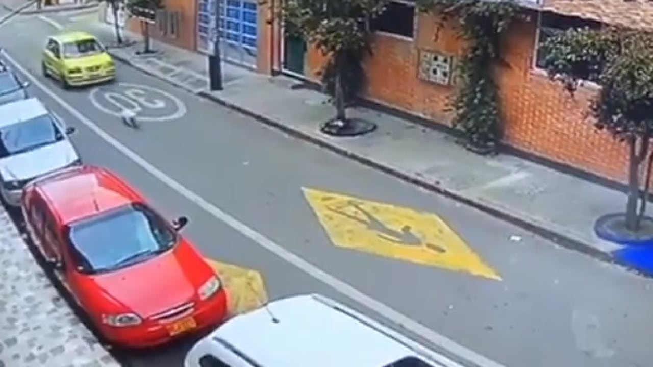 En el video, que se conoció el pasado lunes, se puede ver el momento en el que el perro fue arrollado por un taxita, a voluntad propia del conductor lo que generó indignación en las redes sociales. Foto: captura video Instagram @teleshow_