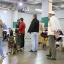 Votación, Filas, voto, elecciones, gente votando, urnas, puesto de votación, mesa en Bogotá