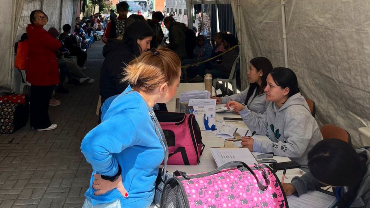 Bogotá se prepara para una nueva jornada que ayudará a 100 animalitos.
