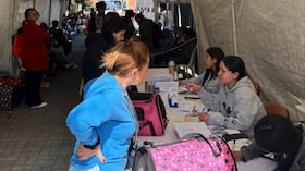 Bogotá se prepara para una nueva jornada para ayudar a 100 animalitos.