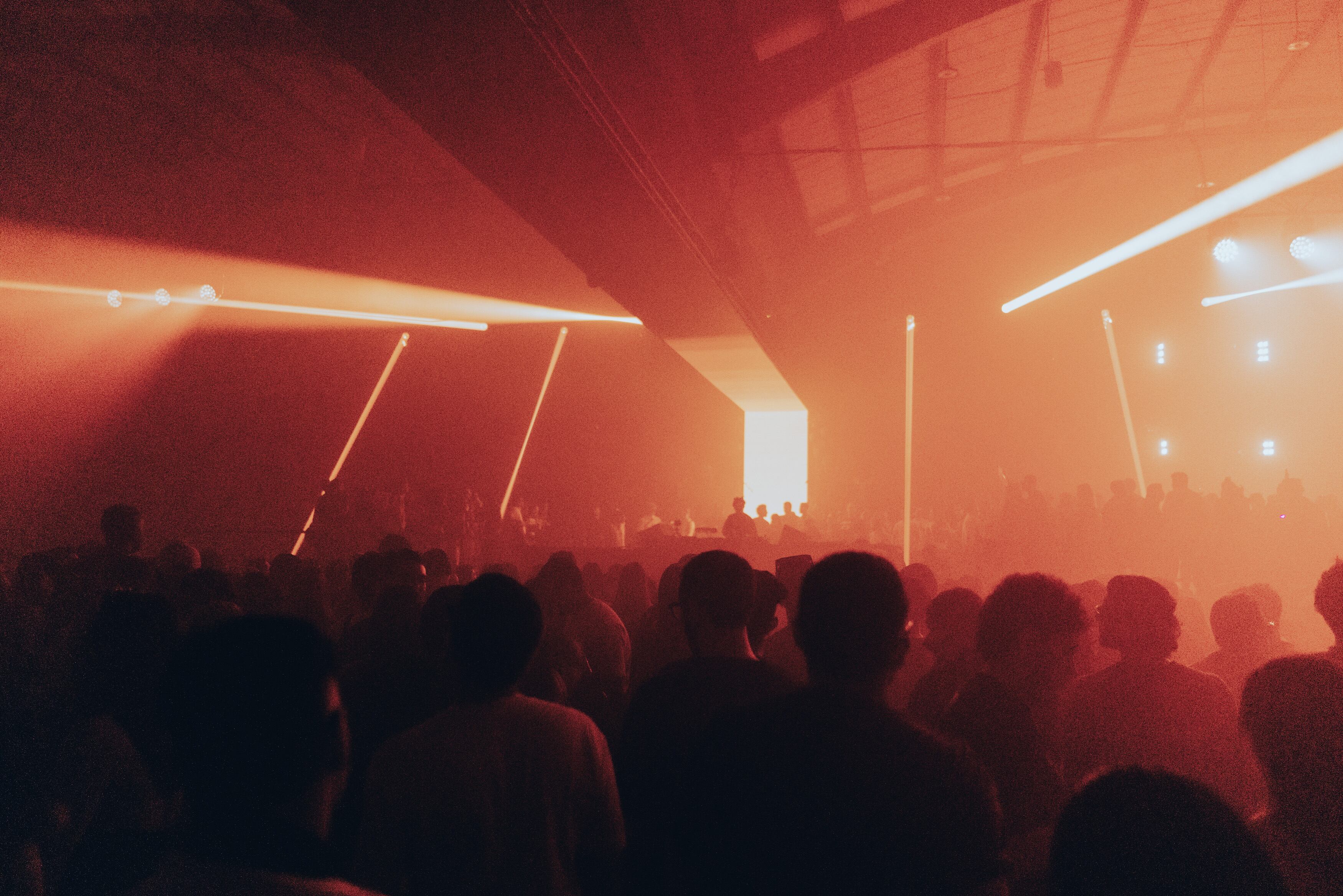 Postales del Baum Festival 10.