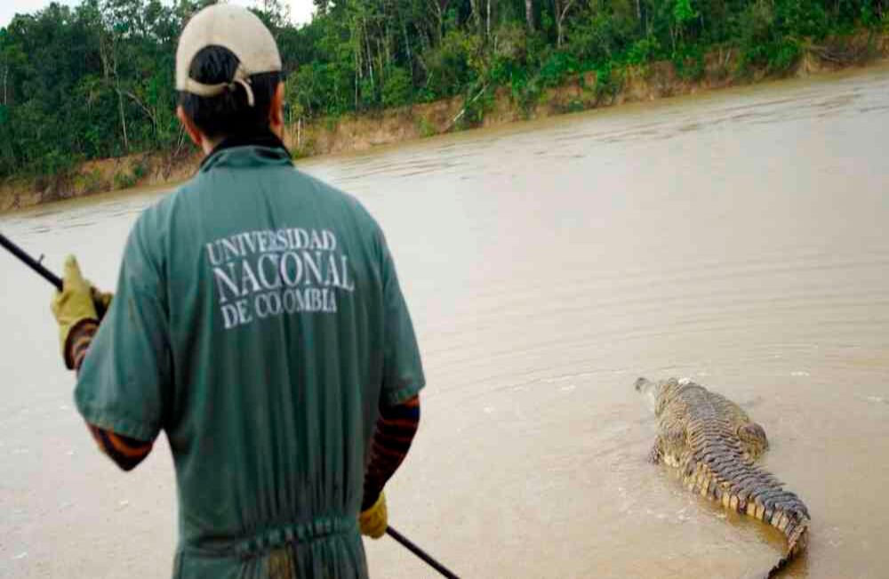 Foto: Ovidio González 