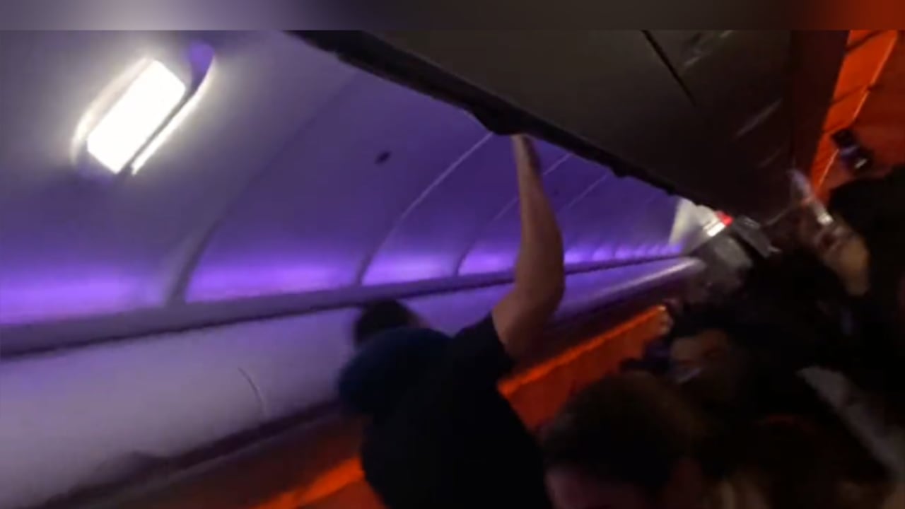 Los pasajeros gritaron de la emoción en mitad de vuelo.