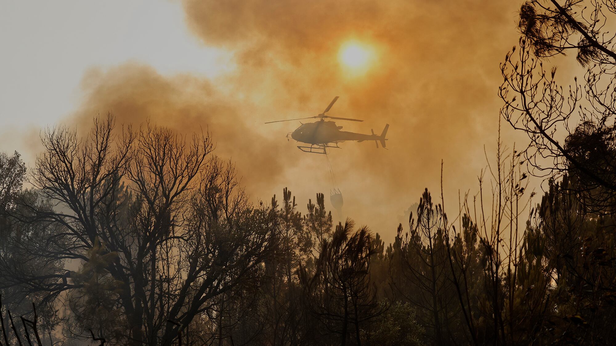 Fotos de la semana 15 agosto
