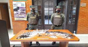 Fauna silvestre incautada.