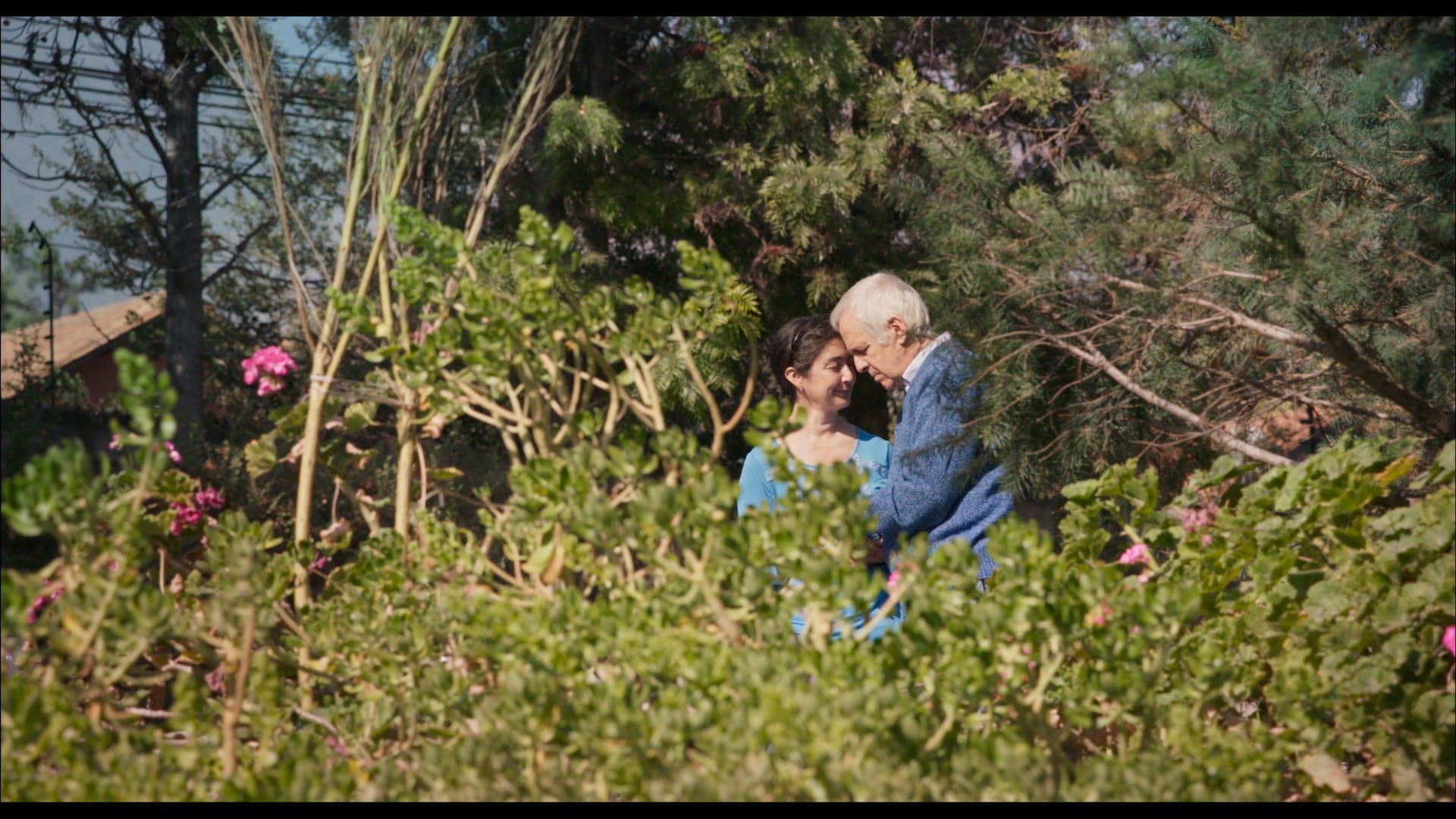 En 'La memoria infinita', de Maite Alberdi, seguimos a Augusto, un conocido periodista cultural chileno, y a Paulina, actriz y ex ministra de cultura. Han estado juntos y enamorados desde hace más de 25 años. Cuando la memoria de Augusto empieza a debilitarse, aprenderán a reinventar la forma de relacionarse entre ellos, haciendo evidente que el amor que se tienen y su sentido del humor son inquebrantabl
