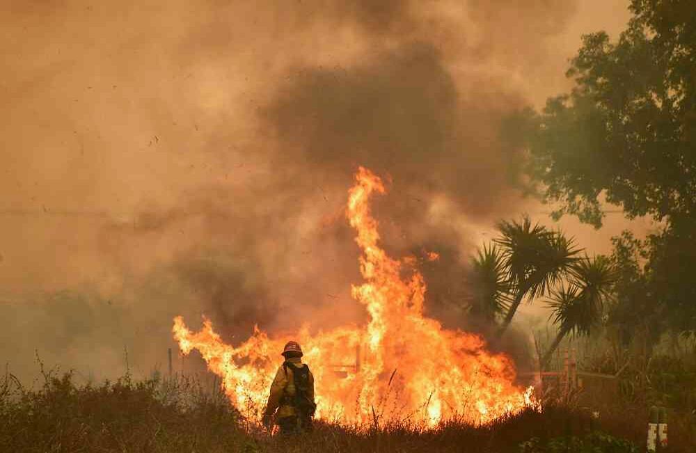 El incendio de San Diego, bautizado Lilac Fire, arrasó en pocas horas más de 1.000 hectáreas. Foto: AFP