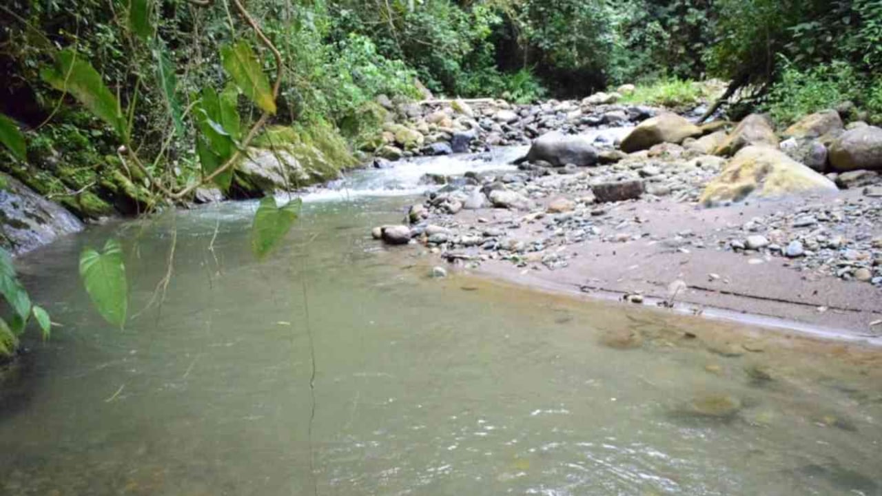 Las autoridades siguen investigando quién desvió a un río en Salento. Foto: CRQ.