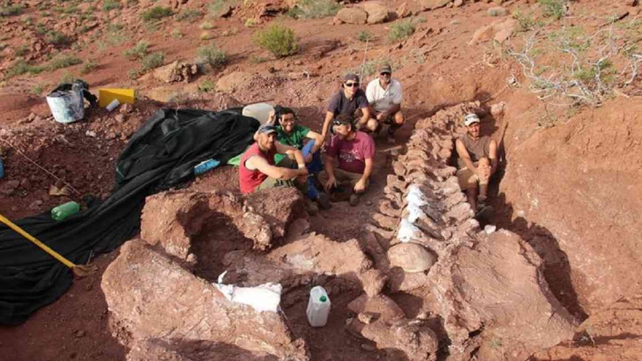 Los restos del animal fueron hallados en la Provincia de Neuquén, en Argentina. Foto: Agencia CTyS-UNlaM.