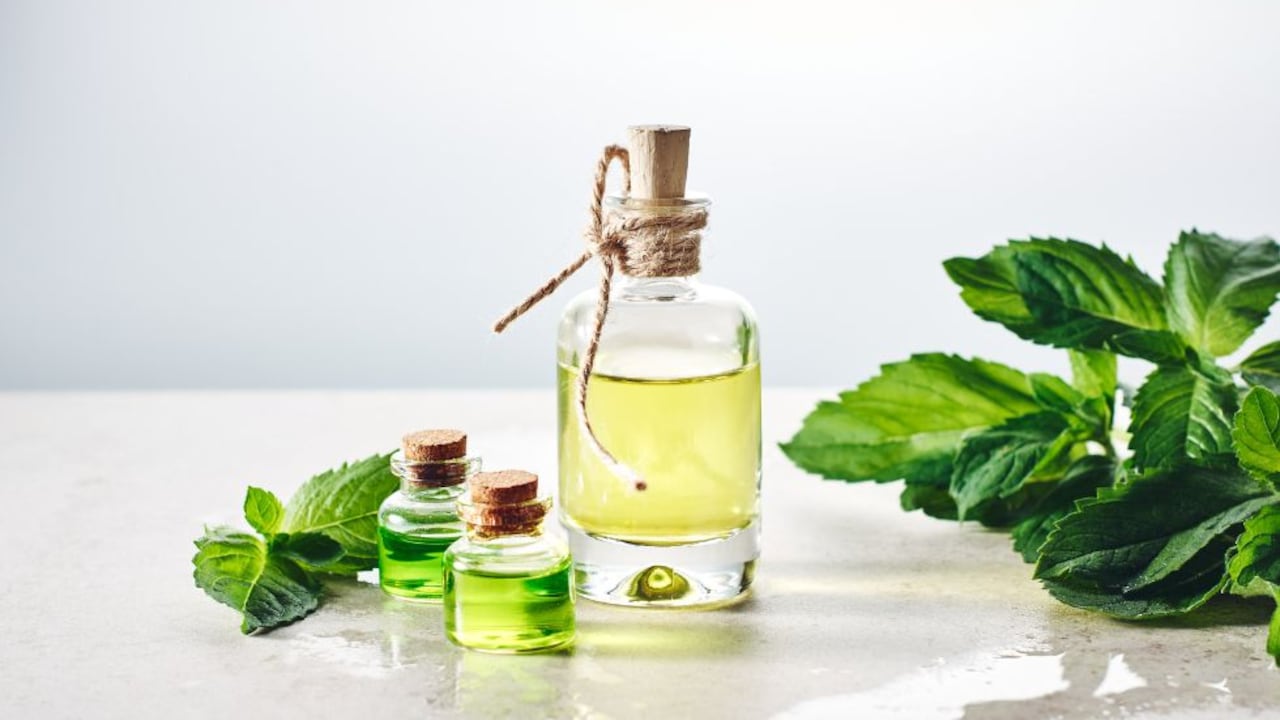 El aceite de menta es un aceite esencial destacado por el Feng Shui.