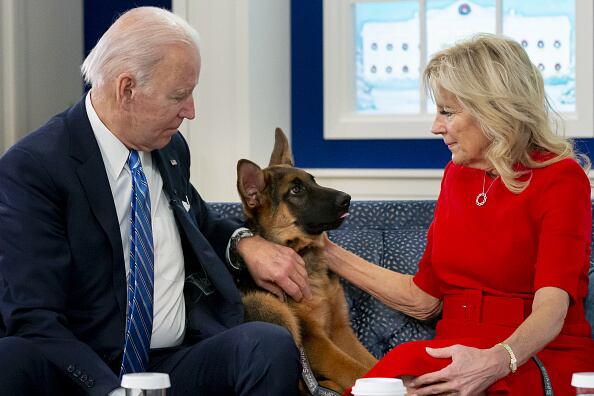 Por recomendación de especialistas, la familia Biden tuvo finalmente que separarse del perro y confiarlo a unos amigos que viven "en un ambiente más tranquilo".