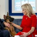 Major, otro de los perros de los Biden, también fue enviado un tiempo a adiestramiento en Delaware, en 2021, para un curso de doma luego de morder al menos a un empleado de la Casa Blanca. Photographer: Michael Reynolds/EPA/Bloomberg via Getty Images