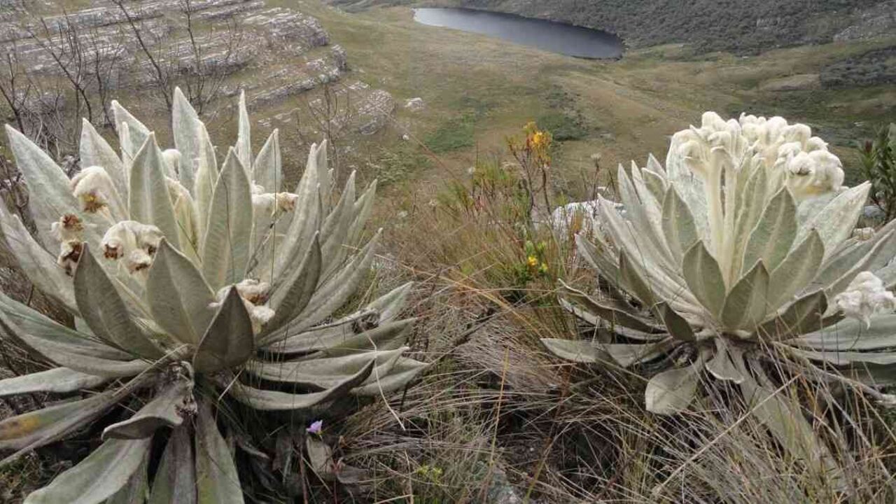 Parque Natural Municipal Ranchería en Paipa. Foto: Corpoboyacá
