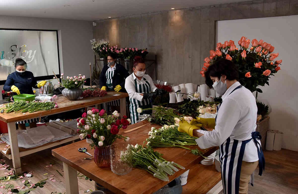 Floricultores preparando sus rosas para ser entregadas el Día de las Madres