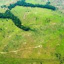 La deforestación es una de las principales problemáticas que afronta el país. Foto: Rodrigo Botero.