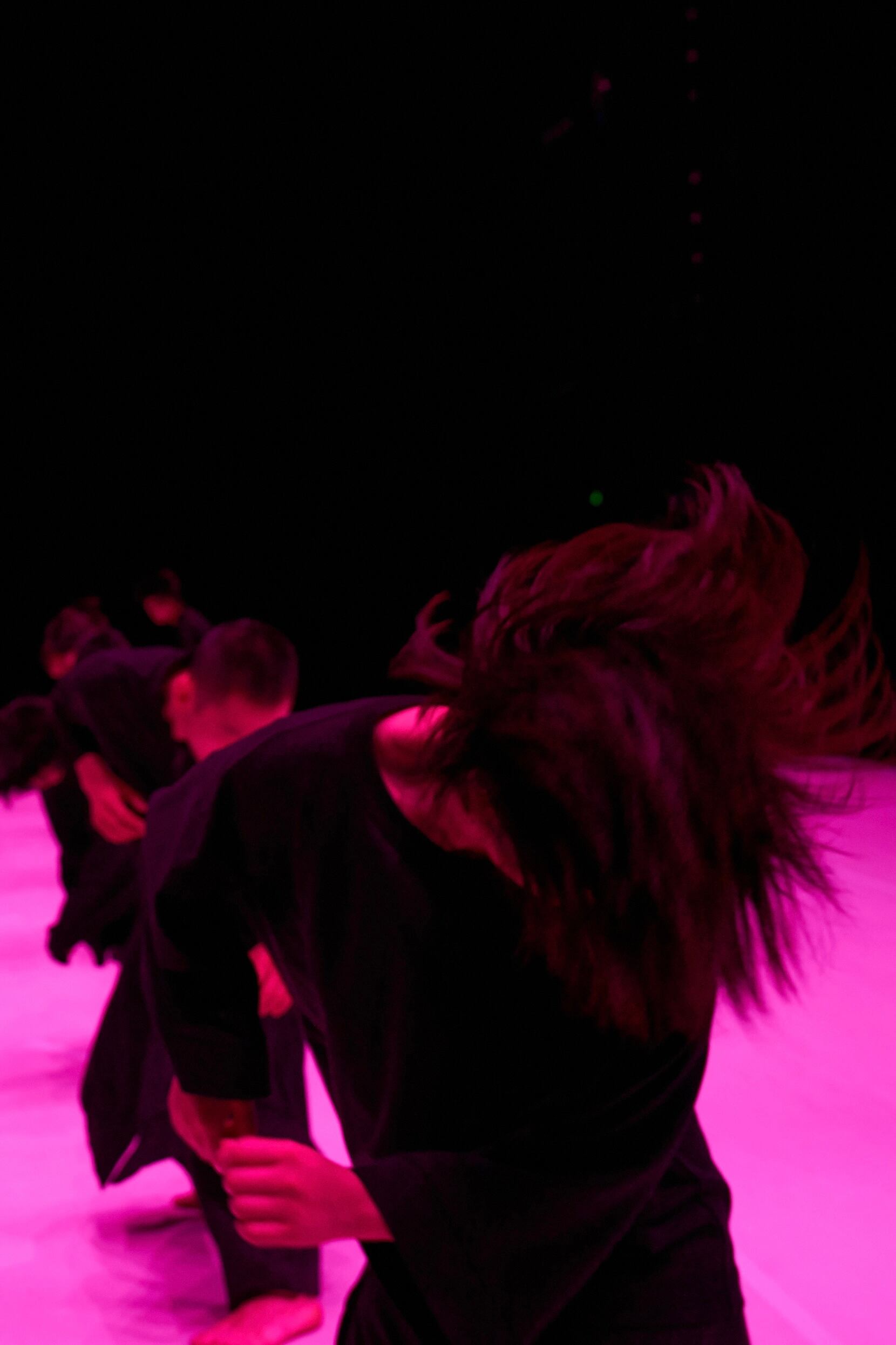 Tao Dance Theater revolucionó la danza contemporánea gracias a la técnica del sistema circular del movimiento, que tiene como eje principal la columna vertebral.