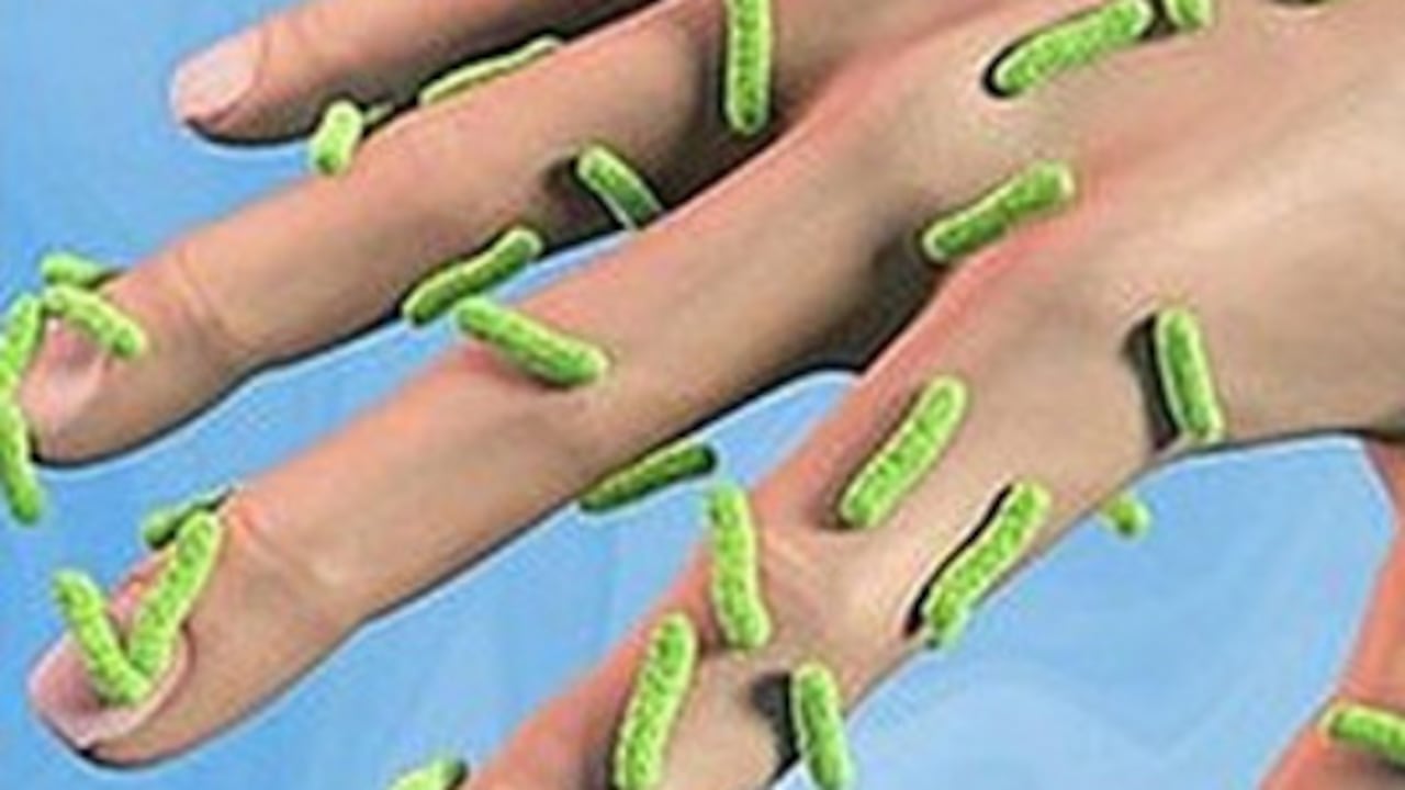 Hay más de 10.000 diferentes tipos de organismos en el microbioma de un humano sano.