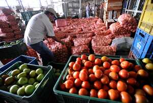 El Consejo de Estado también le ordenó al Municipio realizar un estudio para analizar las necesidades de la población de los barrios en los que se hallan ubicadas las plazas de mercado para que se tomen las medidas necesarias para la preservación y administración de los bienes.