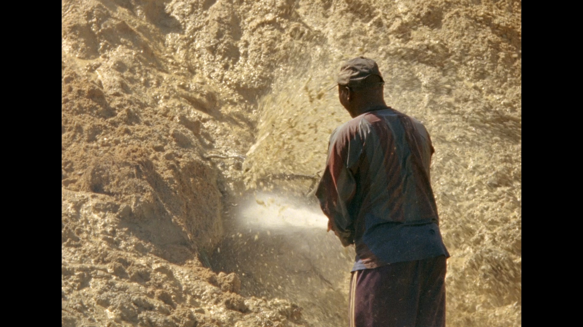 'Morichales' (2024), de Chris Gude.