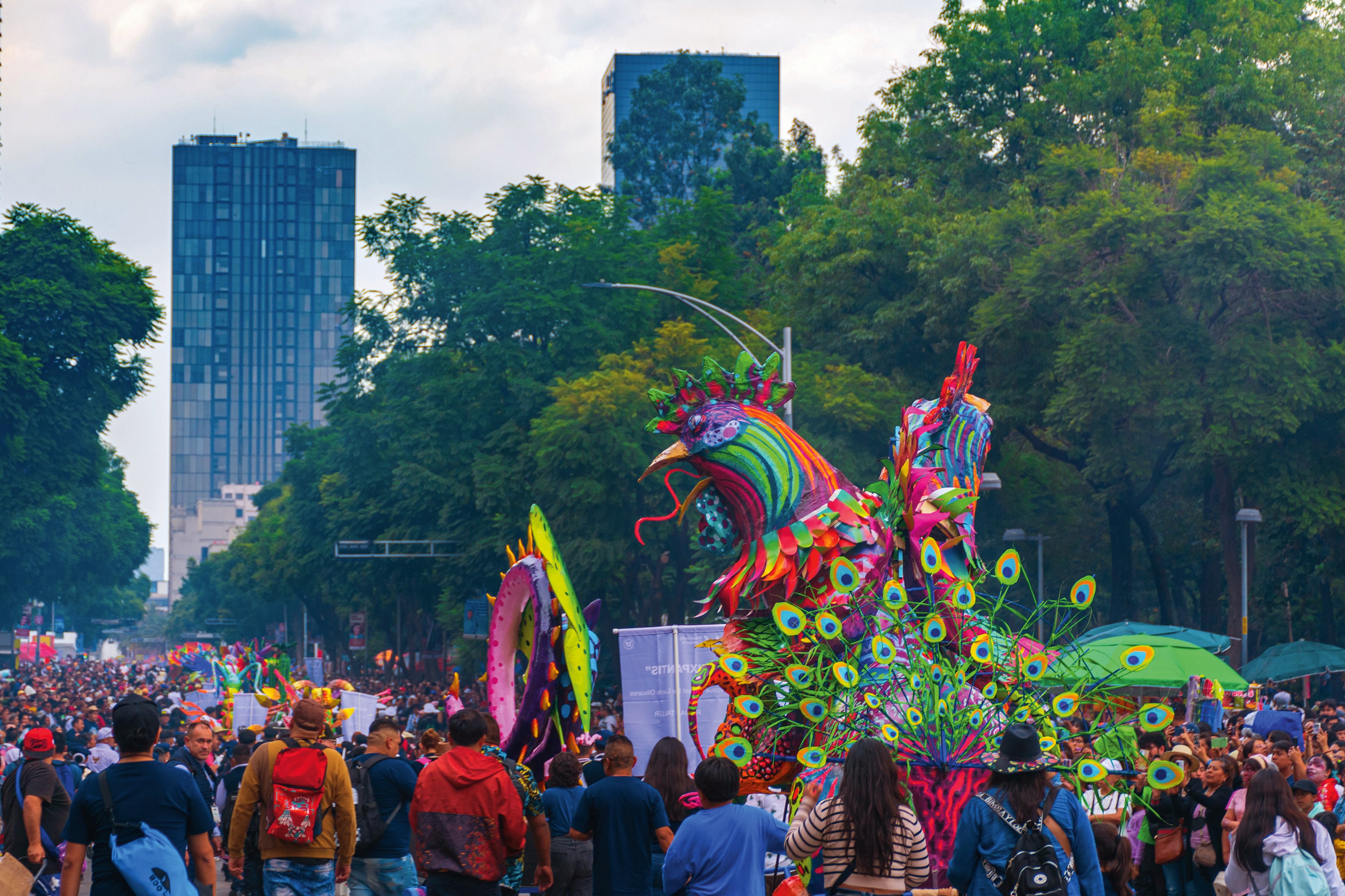 La fiesta de Alebrijes fue declarada Patrimonio Cultural.