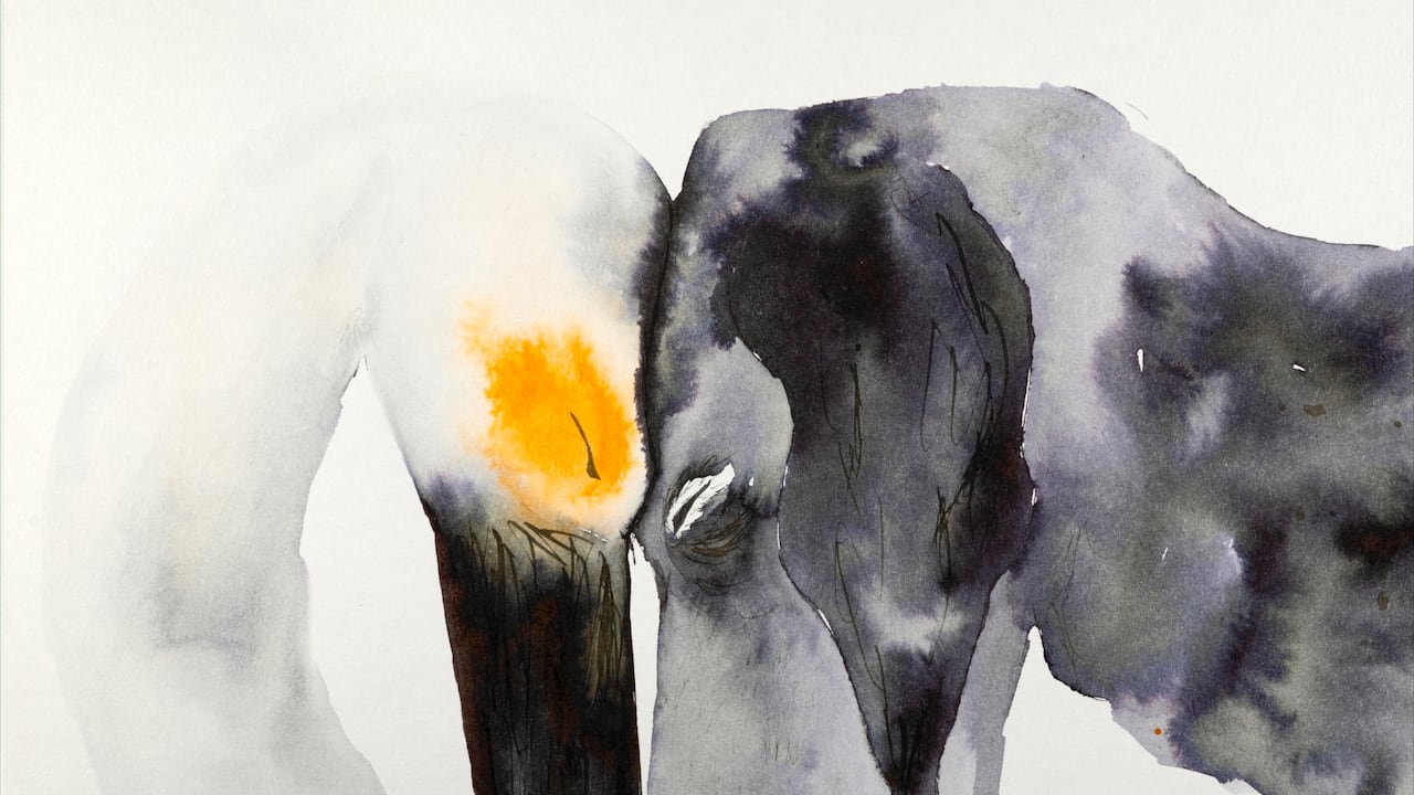 Hay conexiones que no se pueden expresar en palabras.