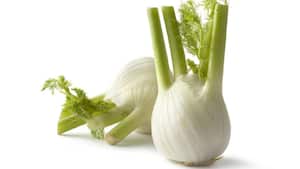 El té a partir del bulbo de hinojo es otra de las infusiones que sirve para bajar de peso. Foto: GettyImages.