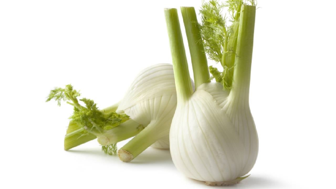 El té a partir del bulbo de hinojo es antiséptico, cicatrizante, antiinflamatorio y antioxidante.
