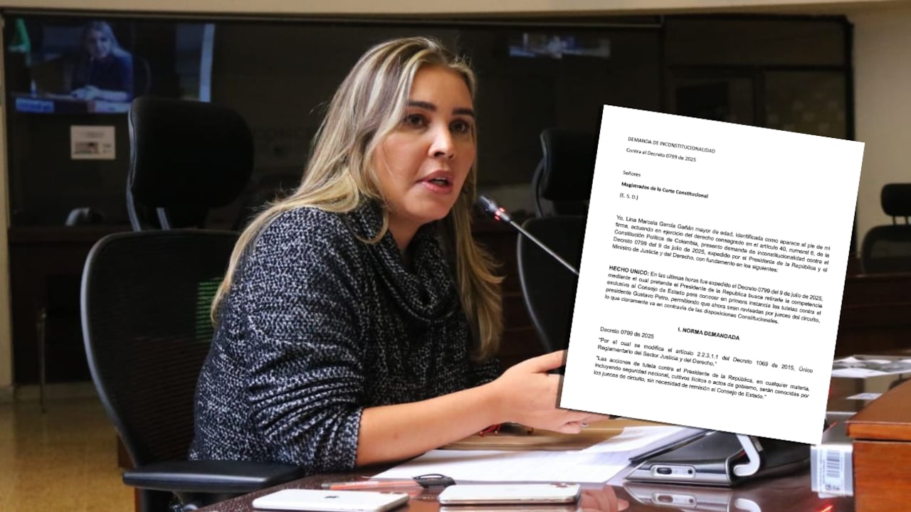 La exconcejala de Medellín, Lina García Gañán, demandó el decreto 799 con el que el presidente Gustavo Petro plantea que las tutelas en su contra no sean de conocimiento del Consejo de Estado.