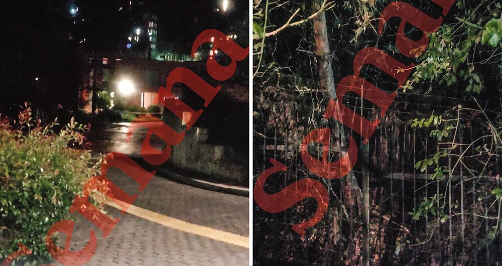    Las pruebas y fotos recolectadas por la Fiscalía dejan ver el sitio desde donde se habría realizado el disparo. En el monte se halló una estera y un trípode hechizo de madera para apuntar. La hipótesis de un francotirador se podría derrumbar por el tipo de arma, pero es claro que quien ejecutó el crimen era una persona entrenada que pudo tener un cómplice en la casa.