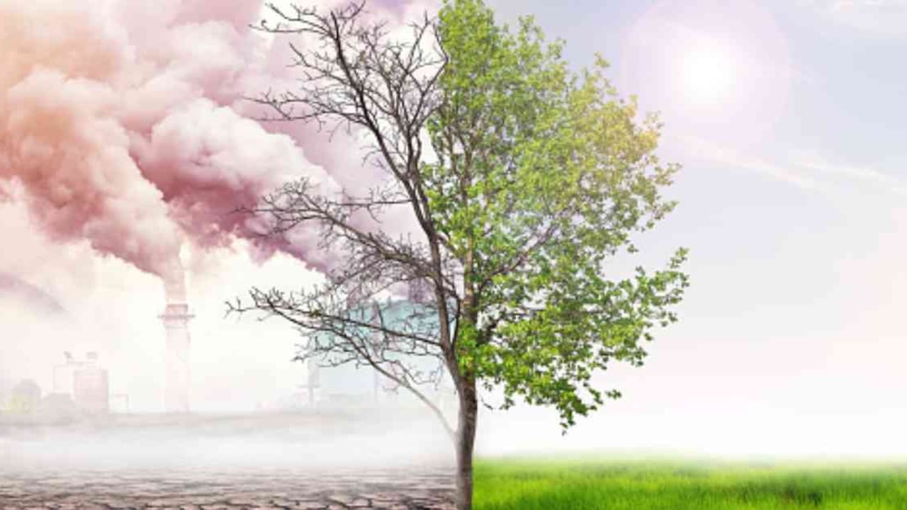 Según señala el estudio, la exposición a las altas temperaturas, representada en olas de calor, resulta en un incremento en la mortalidad. Foto: Getty.