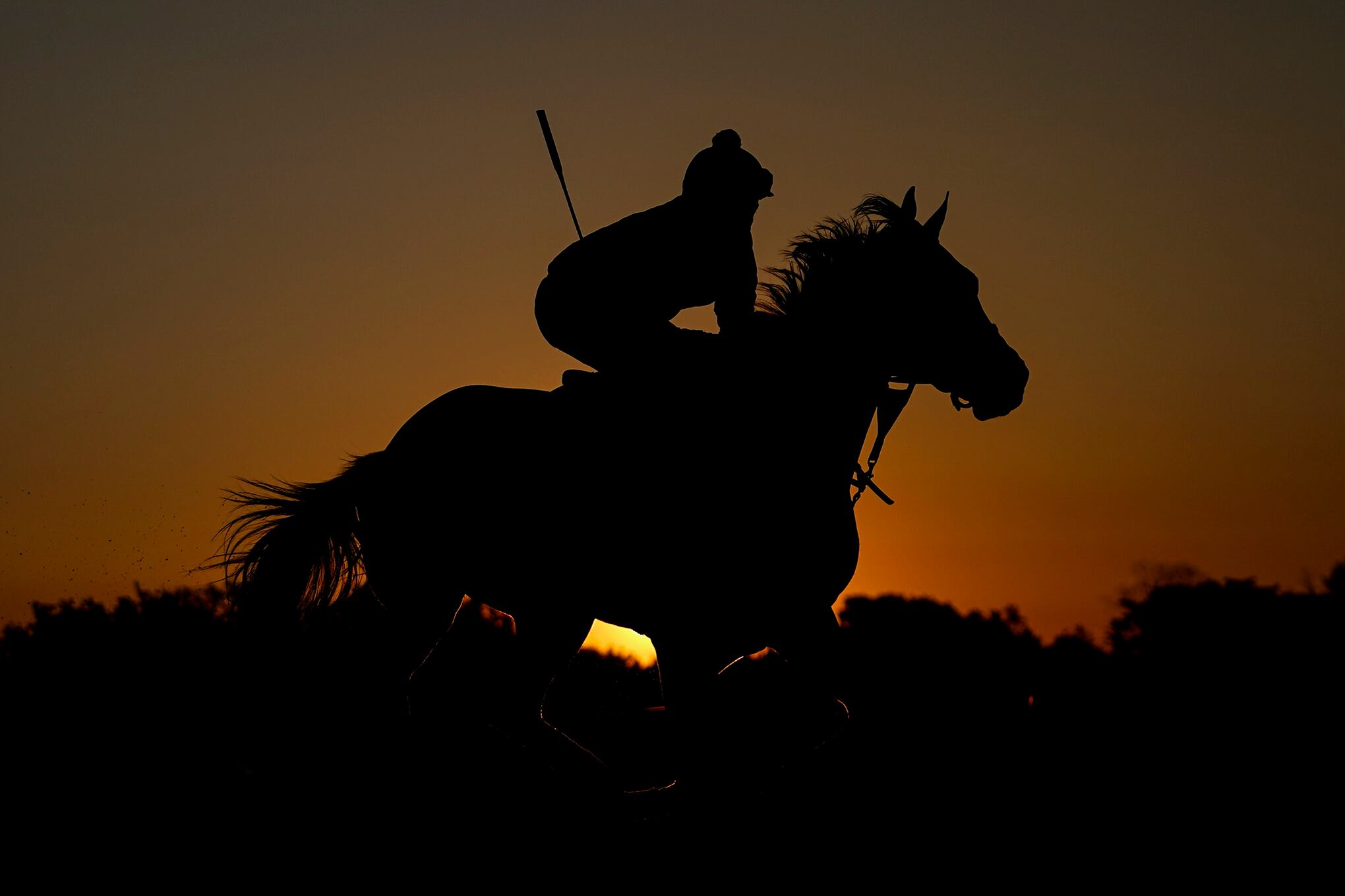 Fotos de la semana 19 mayo