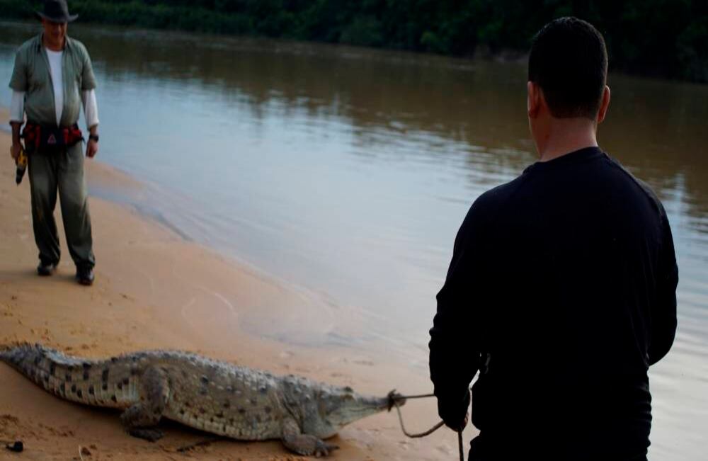 Foto: Ovidio González 