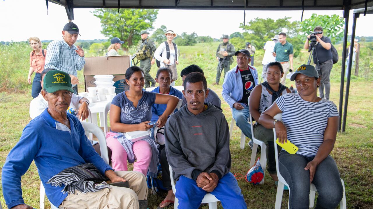Pobladores del Bajo Cauca antioqueña recuperan las tierras afectadas por la minería mediante procesos de fitorremediación.