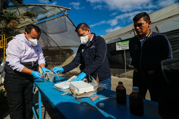 Fitzpatrick subrayó el jueves que los corruptos, los narcotraficantes y aquellos que les brindan espacios y los empoderan “están luchando por capturar otros sectores del estado que tienen papeles aún más directos, empezando por el sector judicial".