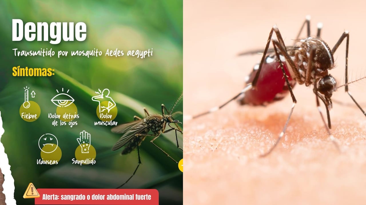 Campaña de la Gobernación para revenir en Dengue en Yacopí