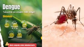 Campaña de la Gobernación para revenir en Dengue en Yacopí