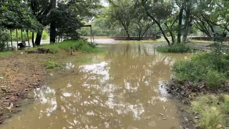 La creciente del río Cauca ha generado inundaciones en barrios y asentamientos en Cali.
