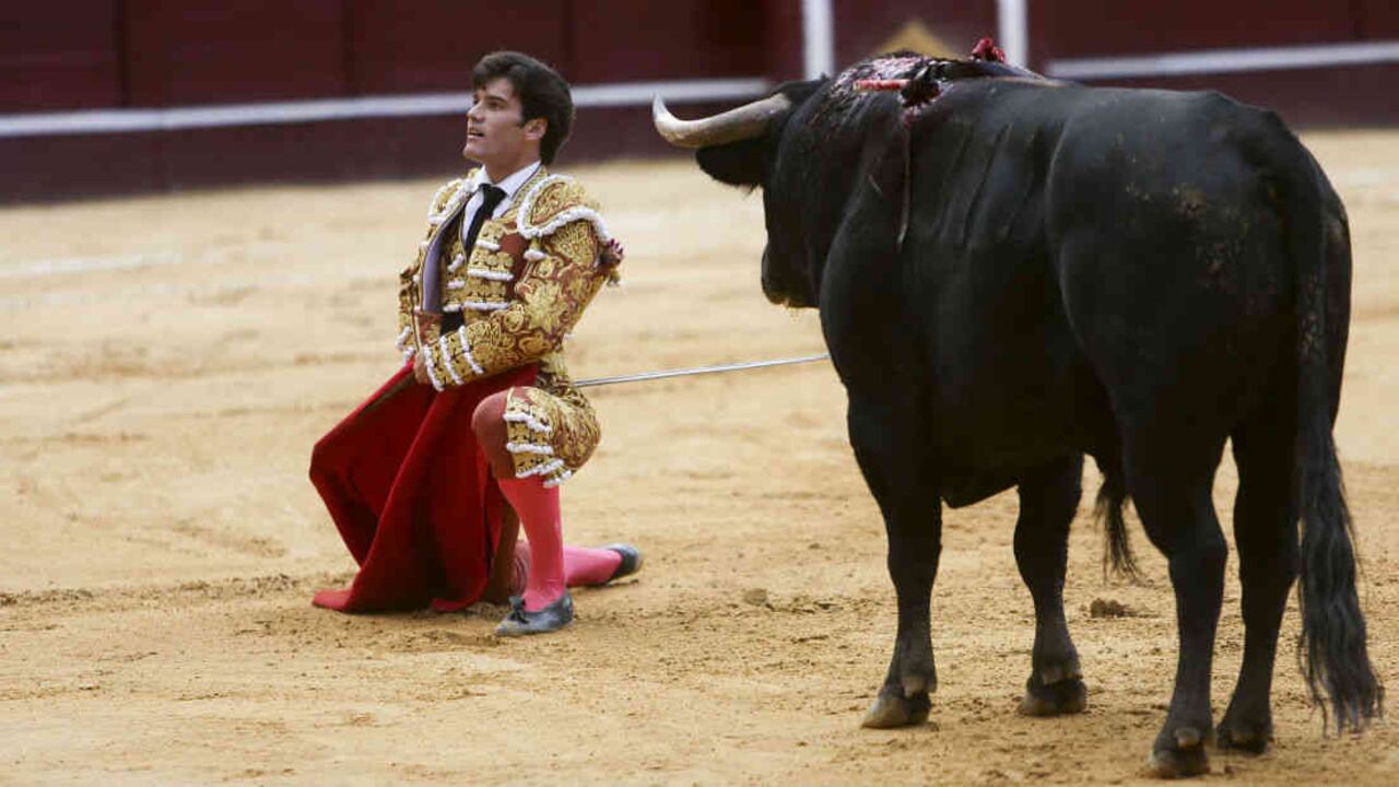 El torero español José Garrido indultó al toro Tocayito de la ganadería Mondoñedo