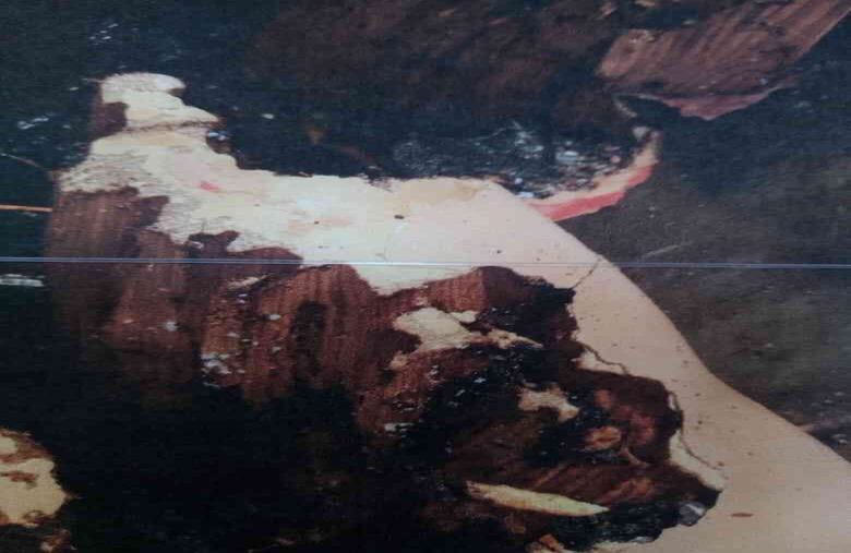 Daños por el comején. Foto de Juan Camilo Duque