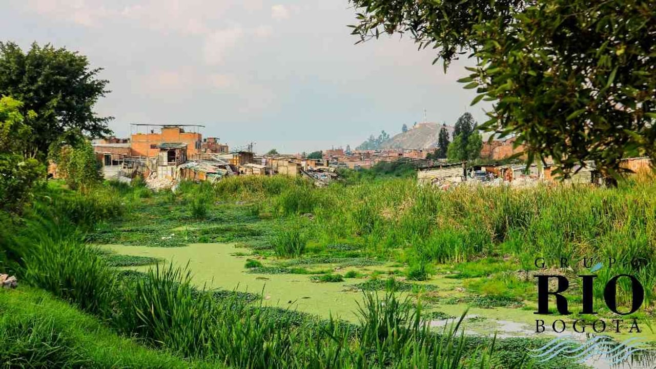 La presión urbanistica es la principal amenaza que tienen los humedales en Soacha. Foto: Alcaldía de Soacha