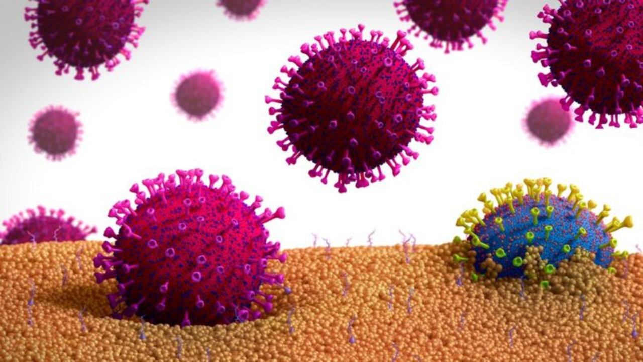 Al replicarse, los virus generan mutaciones o errores en la secuencia de compuestos representados por las letras "a", "g", "c", "u".