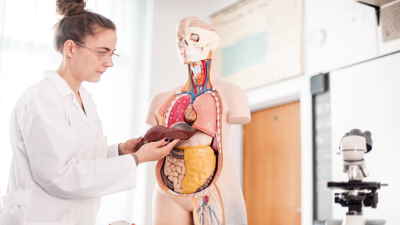 El consumo de café disminuye el riesgo de sufrir enfermedades hepáticas crónicas. Foto Gettyimages.