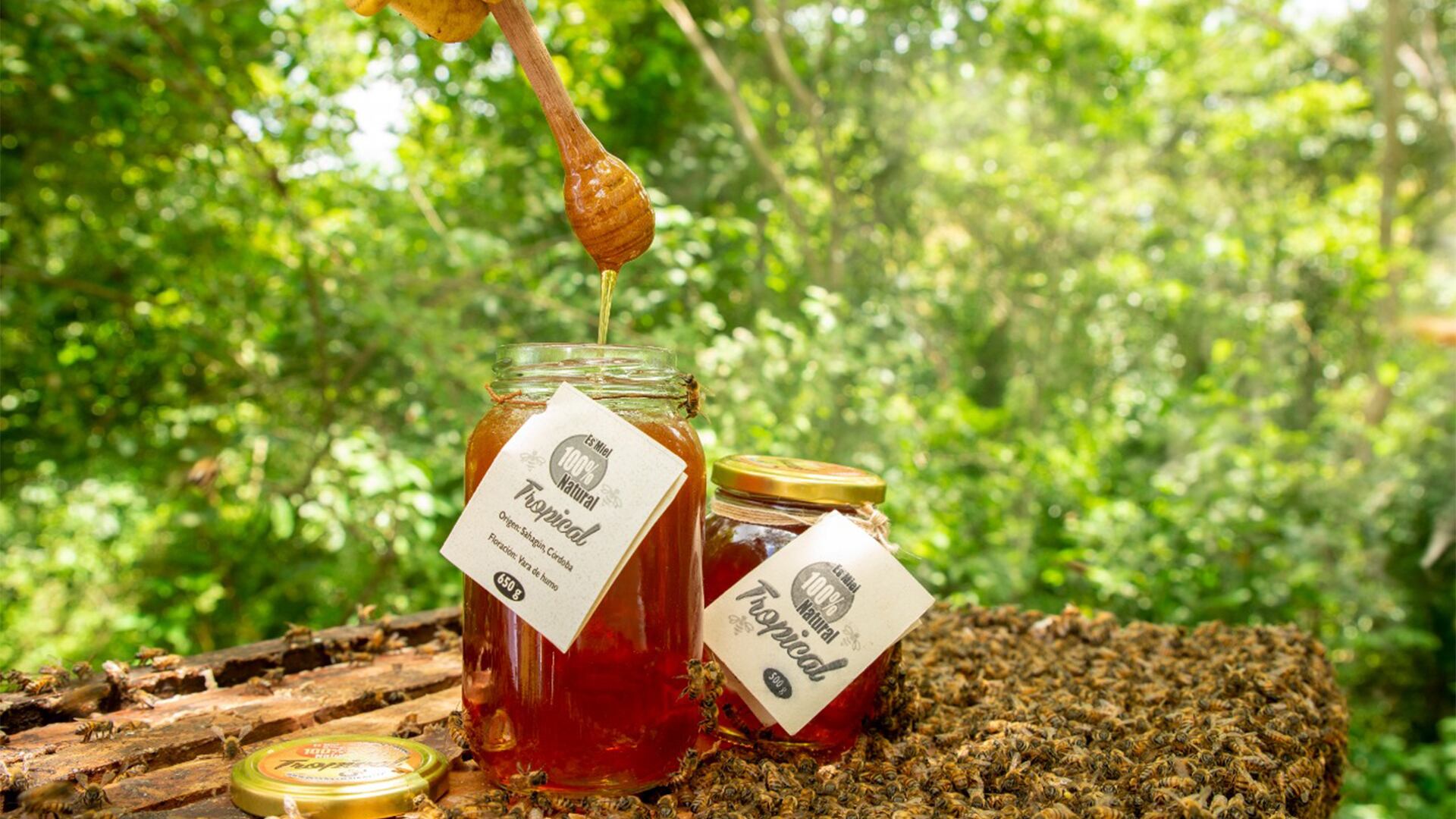 NO USAR, USO EXCLUSIVO MEJOR COLOMBIA, Especial Minambiente, Negocios Verdes