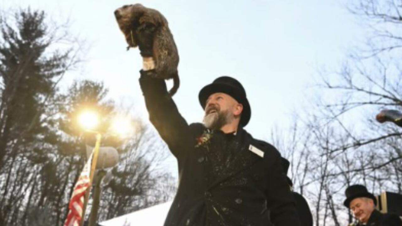 Punxsutawney Phil sale de su madriguera ante la mirada de miles de personas en Pensilvania.