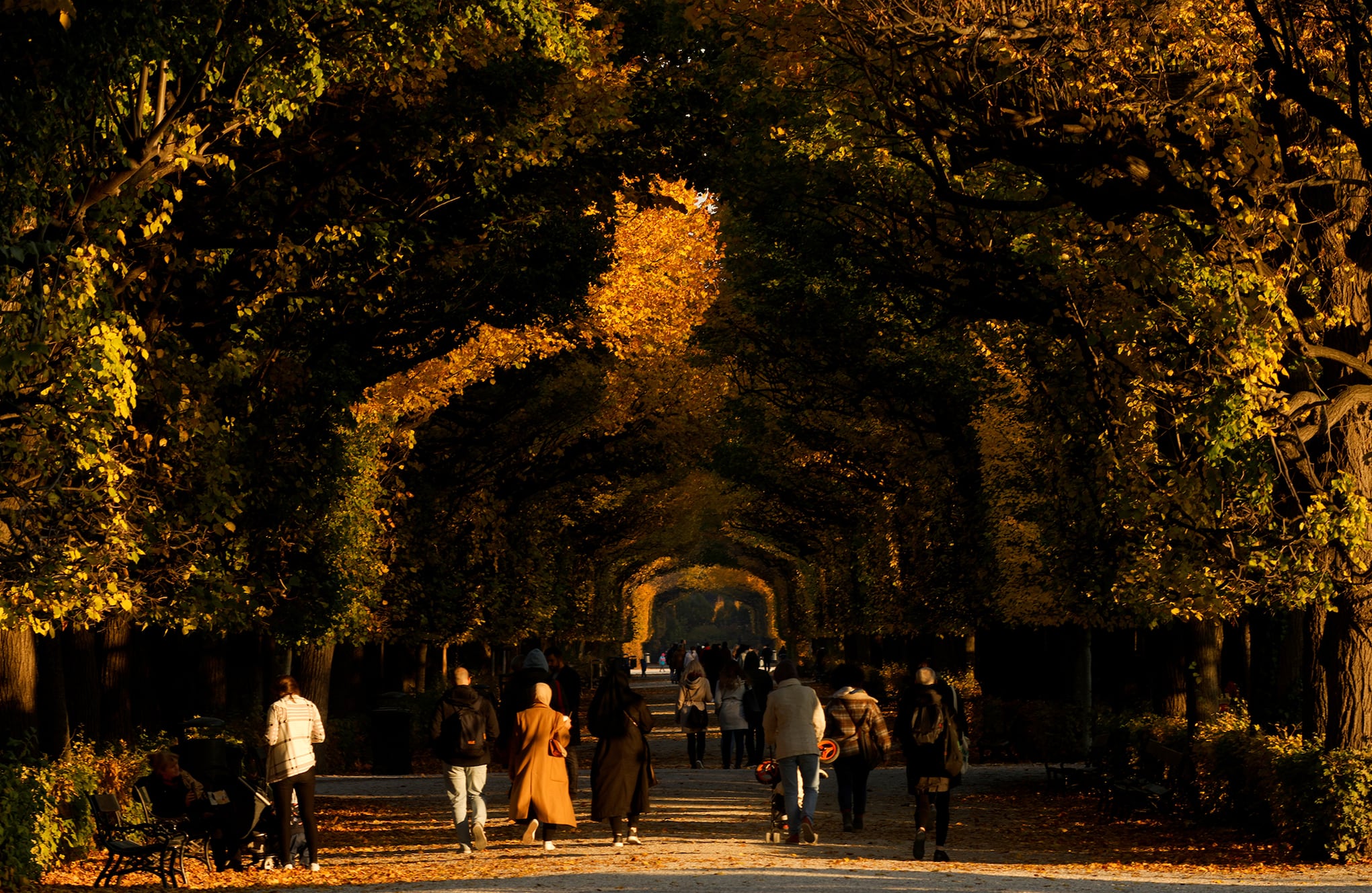 Espectaculares colores de otoño en todo el mundo.
